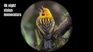 Monokuler penglihatan malam berkualitas tinggi 4K
