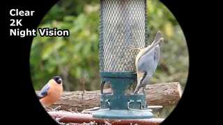 Tangkap kacamata penglihatan malam 2K Video Jernih