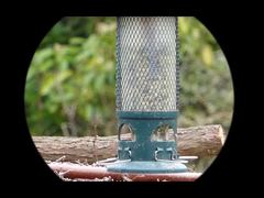 Video 4K Mini91 Monokular Penglihatan Malam