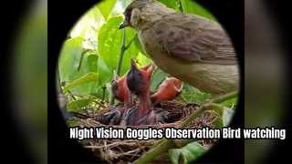 Hondigi 4K Night Vision Goggles Observasi Mengamati Burung Observasi Luar Ruangan