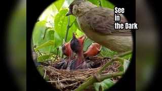 Observasi Kacamata Night Vision Hondigi